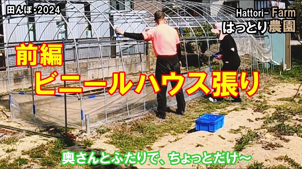 Plastic greenhouse installation - Part 1 20240316 Rice field