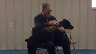 IMG 4608
