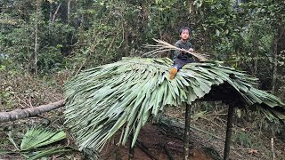 Bamboo house in the forest, an orphan boy khai completes the roof with palm leaves