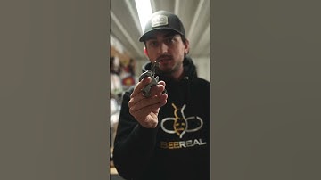 How I setup my button release. #shorts #BEEREAL