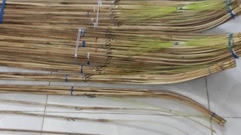 CẦN CÂU CẤM CÁ LÓC . CẤM ẾCH XIN LIÊN HỆ 0987588324