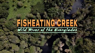 Fisheating Creek: Wild River of the Everglades