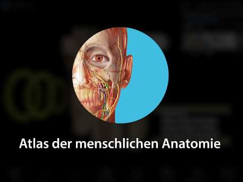 Atlas der Humananatomie | Einführung von Visible Body-Benutzerkonten!