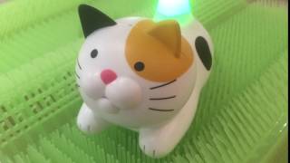 【可愛いねこの温湿計！】今日のにゃんこ計6月27日