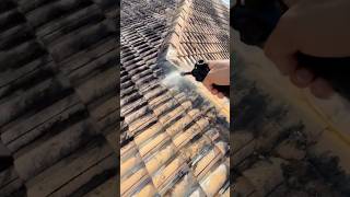 Unbelievable Roof Cleaning Transformation | Soft Wash Restores Tile Roof to Like-New #roofcleaning