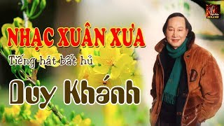 Nhạc Xuân Duy Khánh | Xuân Này Con Không Về Tuyển Chọn Nhạc Xuân Xưa Hay Nhất
