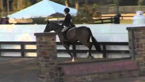 Video of Mahoney ridden by Elizabeth Van Nostrand ...