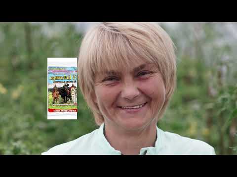 Видео: Информация о вашингтонском боярышнике: советы по выращиванию вашингтонского боярышника