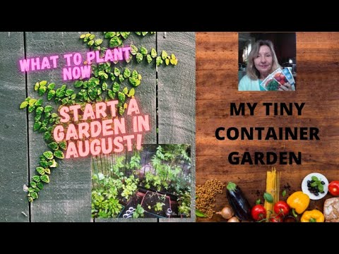 LOW INCOME? GROW SOME FOOD FOR CHEAP! YOU CAN STILL START A FALL GARDEN