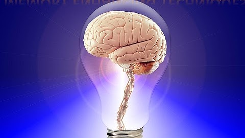 अपनी दिमाग और स्मरण शक्ति को 10 गुना ज्यादा तेज़ करो | How to Increase Memory Power and Intelligence