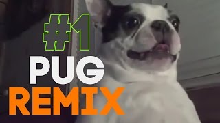 Pug   Remix