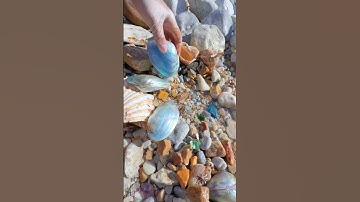 Sea Agate and Sea Crystal: Finding Hidden Treasures on the Shore and rare pearl