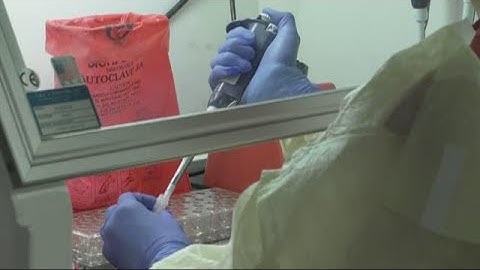 Slow turnaround time for COVID-19 testing results