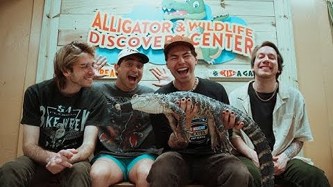 AVOID - Gator Fest (Official Video)