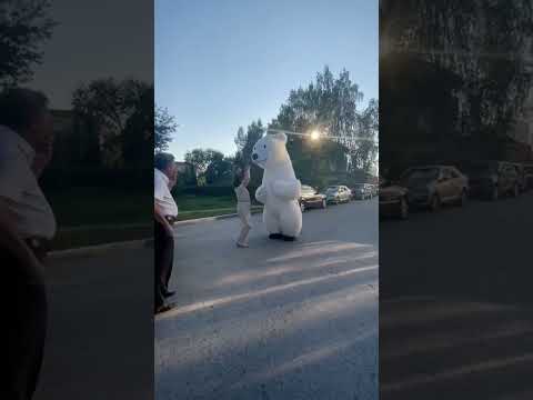 Поздравление на юбилей от медведя Томаса 🥳🎁🎂#shorts #поздравления