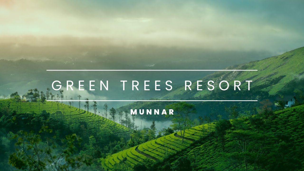 Green Trees Resort Munnar Hotel Buddy YouTube Green Trees Resort Munnar Hotel Buddy YouTube