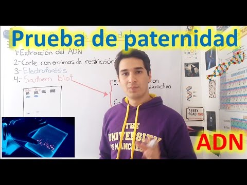 Vídeo: El llevat té ADN?