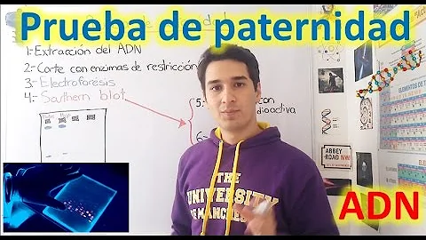 ¿Cómo puedo saber si soy el padre?