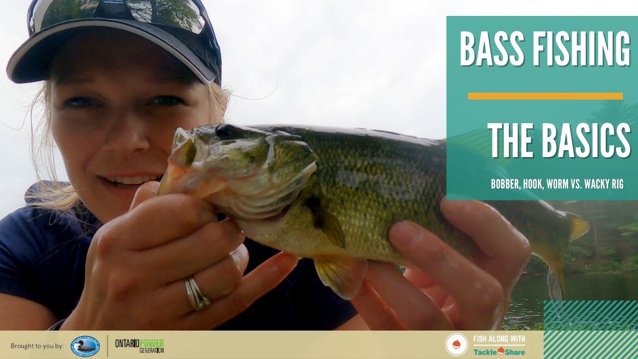 Bass Fishing Basics - Bobber, Hook, Worm vs. Wacky Rig 