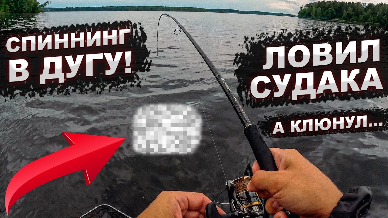 СПИННИНГ В ДУГУ!!! Ловил судака, а клюнул он - YouTube