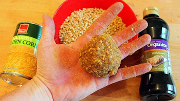 Carp Bait Recipe - How to catch carp with chicken feed.