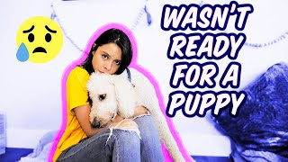 I Wasn't Ready for My Puppy // Story Time