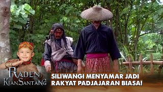 SILIWANGI MENYAMAR! Tak Sengaja Bertemu Sedang Orang Mabuk | RADEN KIAN SANTANG | EPS. 13 & 14 (6/7)