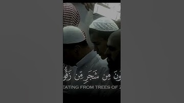 لا اله الا الله انت سبحانك يارب 🤲🏻#ياسر_الدوسري #تلاوة_خاشعة #رح_سمعك #اكسبلور #islam #viral #300k