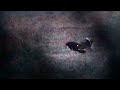 Охотничий инстинкт: Весеннее разнообразие Удмуртии. Охота на тетерева