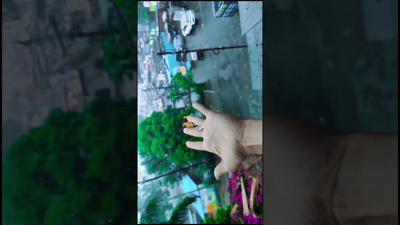 SAD STATUS | ALONE | NATURE VIDEO | MOBILE VIDEOGRAPHY