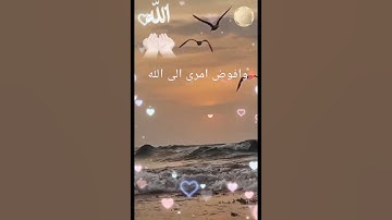 وافوض امري إلى الله ✨🤲🏻✨👆🏻🌺🌺🎉🎉سورة غافر #قران