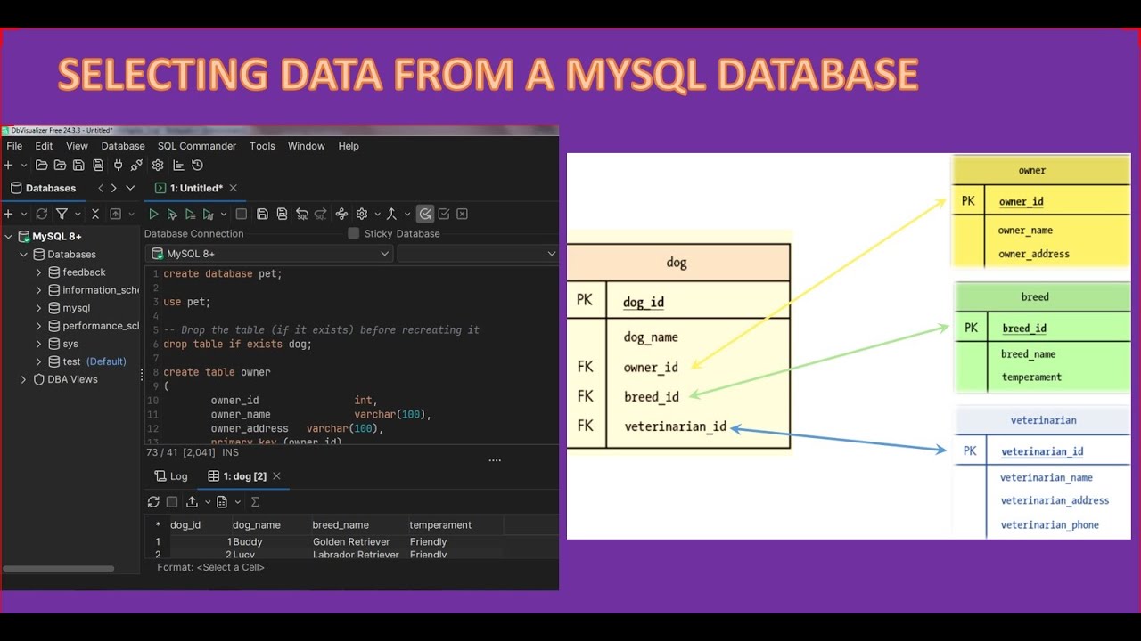 SELECTING DATA FROM A MYSQL DATABASE (بالعربي) - YouTube