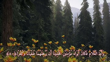 أَمَّا السَّفِينَةُ فَكَانَتْ لِمَسَاكِينَ يَعْمَلُونَ في البَحر | ما تيسر من سورة الكهف| حسين ماهر