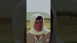 Kemal Sunal In Sevdiğiniz Filmi Hangisi Şfet 