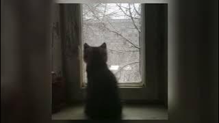 Yad - Slowed   Reverb Slo, Twilight & Tazzy