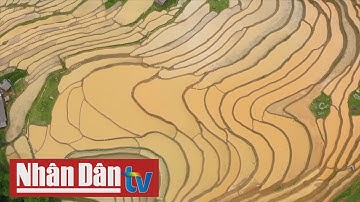Ruộng bậc thang ở Hà Giang mùa nước đổ hút khách du lịch