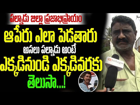 అసలు పల్నాడు అంటే ఏమిటి ? || Palnadu Public Talk on AP New Districts || Palnadu District Public Talk