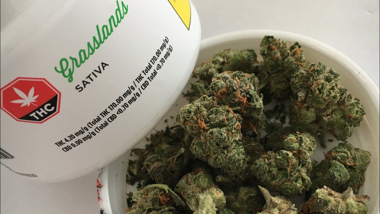 Weed Unboxing- Grasslands Sativa