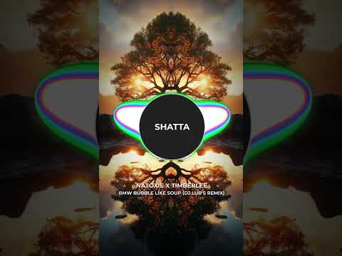 Natoxie X Timberlee - BMW Bubble Like Soup (Dj Lub's Remix) #shatta #dancehall #remix