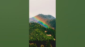 ربنا لا تزغ قلوبنا بعد إذ هديتنا😌❤ #قران_الكريم /#من سورة آل عمران #أرح قلبك#دعاء