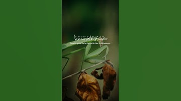 تلاوة هادئة لصوت الشيخ ياسر الدوسري #قرآن #اكسبلور #الله #راحة_نفسية #ياسر_الدوسري #قران_كريم #يارب