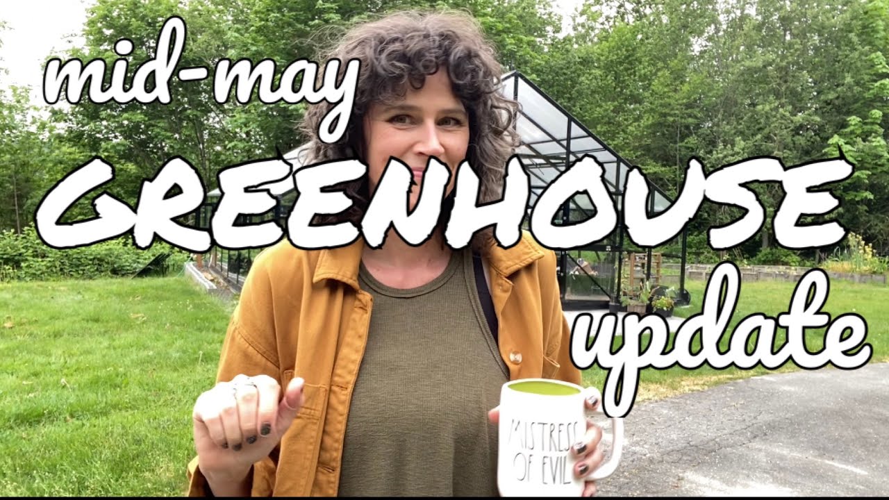 Mid May Greenhouse Update! YouTube