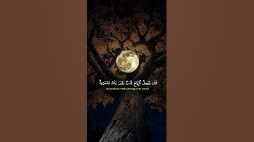 #قرآن #سورة_النمل #ياسر_الدوسري #90s #fyp #foryou #trending #5k #6k #youtube #quran #viral #duet