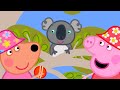 Peppa Finds A Koala 🐨 | Peppa Pig Official Full Episodes