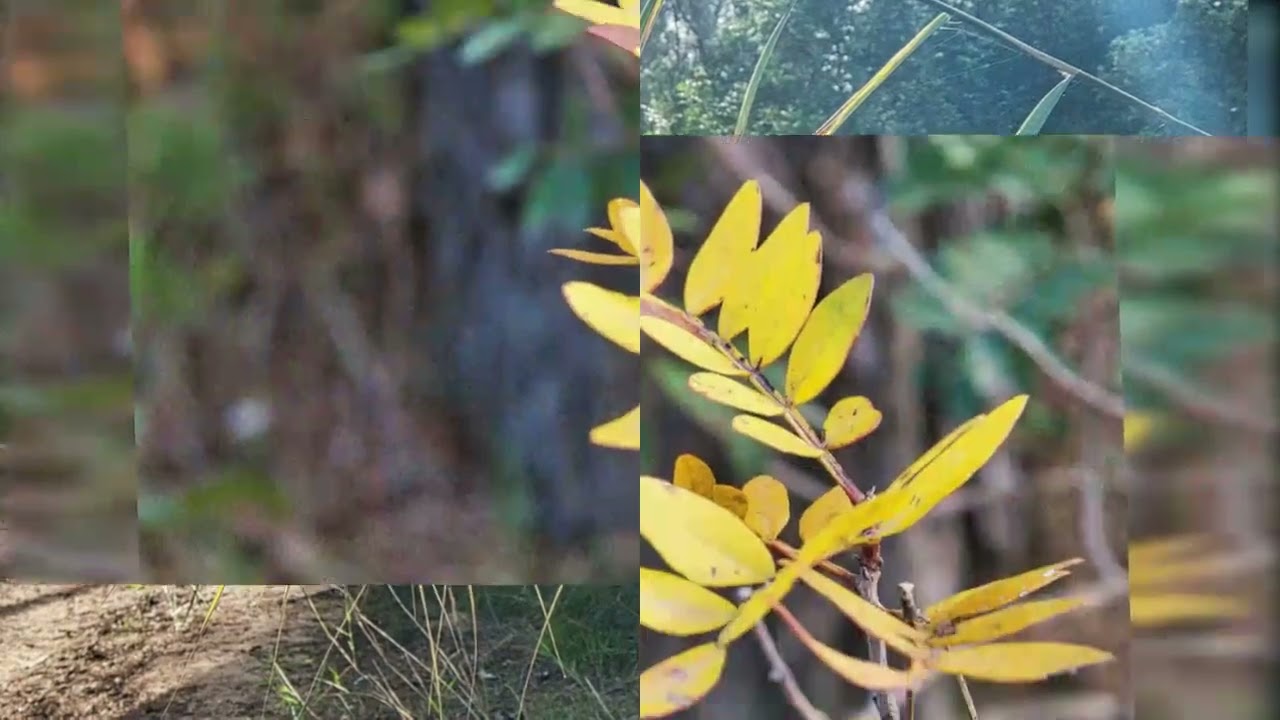 Por el Río Cabriel a su paso por Villatoya.