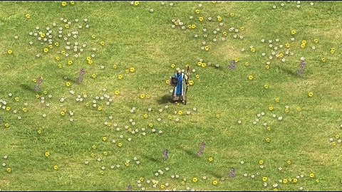 Age of Empires II Definitive Edition Monk Unit Conversion FX mod