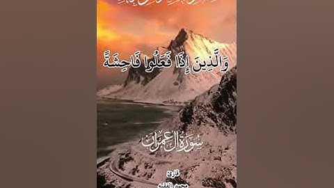 هشتاق #سوره ال عمران الشيخ محمد الفقيه -اكتب شئ تؤجر عليه#