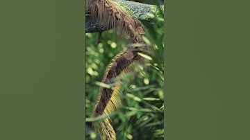 Could it be such a snake?#fyp #blender #blender3d #simulation #3dartist #3danimation