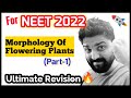 CRASH COURSE : Neet 2021🔥 |7# Plant Morphology(part-1) | Free Handwritten Notes😎 • KV eDUCATION