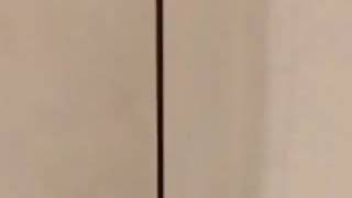 Download Lagu SINTER SINTER MAARTEN MP3